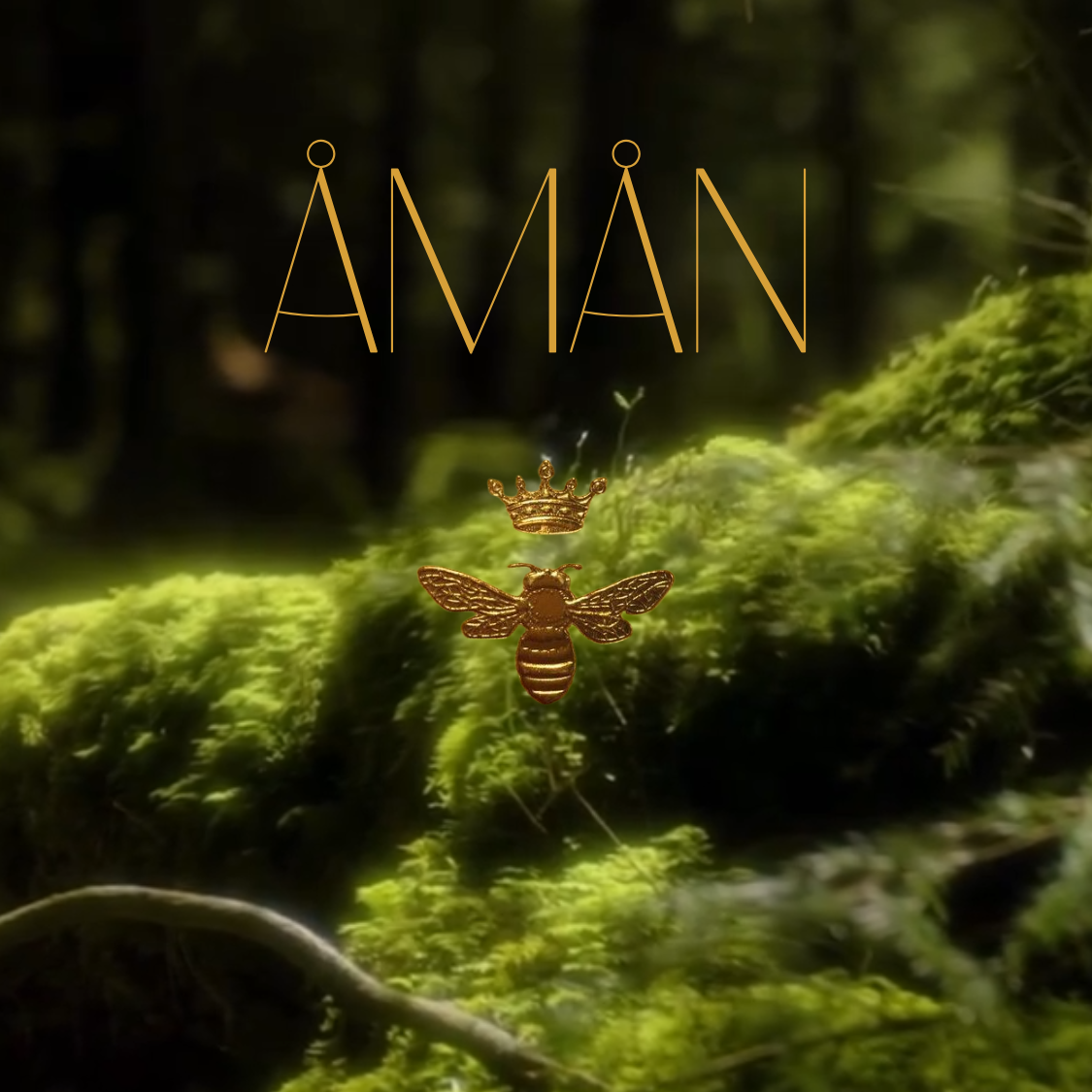 Stage Immersion AMAN - Ardèche 11-14 juin 2026